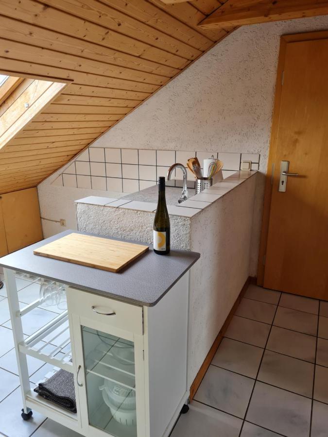 Chagall - Helles Und Gemuetliches Appartement Nahe Der Historischen Altstadt Μάιντς Εξωτερικό φωτογραφία